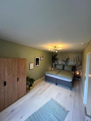 Moderne, helle Terrassenwohnung im Kurort
